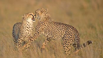 Serengeti National Park